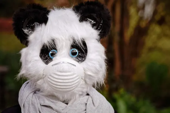 TopBet Casino Tacaíocht